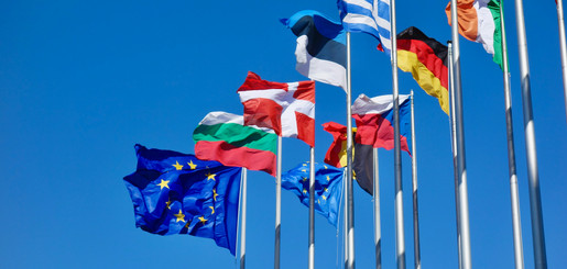 Europawahl: Positionen Europawahl: Positionen