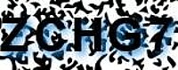 grafischer Sicherheitscode