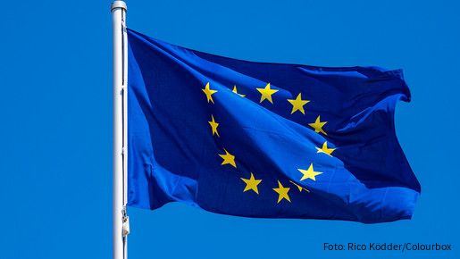 Die AG Europa informiert - Februar 2025 Das Foto zeigt eine Europaflagge, die im Wind flattert.